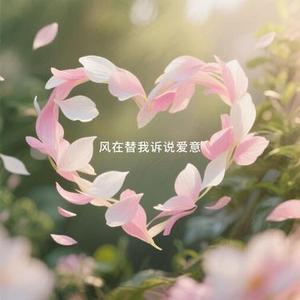 风的告白