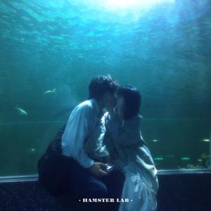 像鱼 - R&B深情男声
