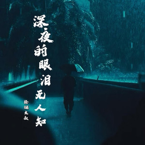 深夜的眼泪无人知 (DJ版)