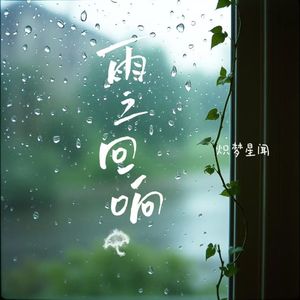 雨之回响