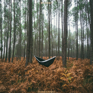 按摩丰富的爵士