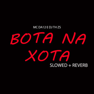 Bota na Xota Slowed + Reverb