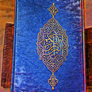 The nobles and the lemurs