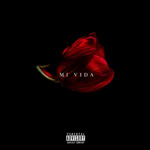 MI VIDA