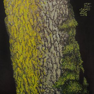 in orthogonal spruce