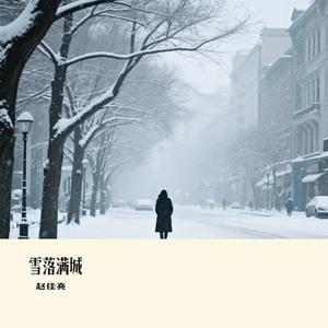 雪落满城