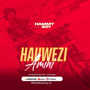 Hauwezi Amini