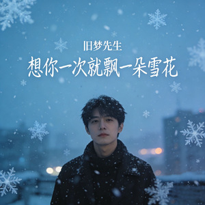 想你一次就飘一朵雪花