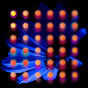 A Heavy Hearted Work of Staggering Genius