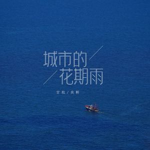 城市的花期雨