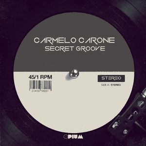 Secret Groove (Original Mix)
