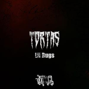 Tortas