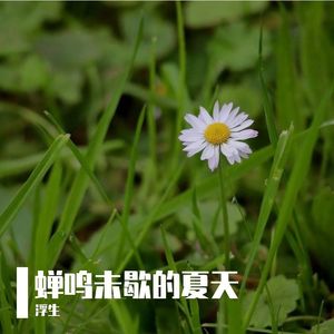 《云端的纸鸢》