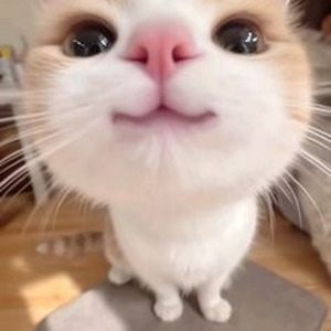 Streets Made Me A King (nightcore)