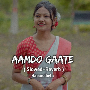 Aamdo Gaate (Slowed Reverb)