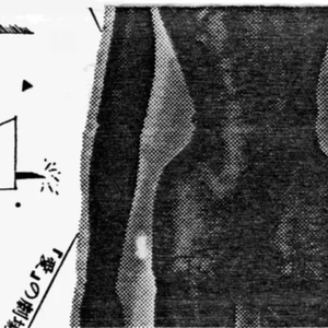 タレリカン・ヒット・メドレー（途中まで）