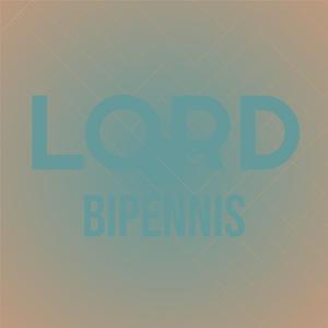 Polystyrene Sandwich