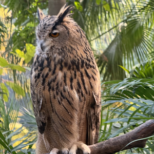 理想三旬cover.mp3