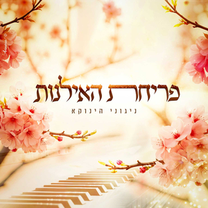 פריחת האילנות