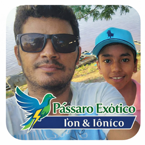 Pássaro Exótico