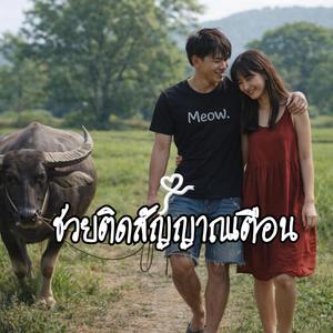 ช่วยติดสัญญาณเตือน