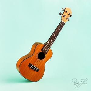 Happy Whistling Ukulele