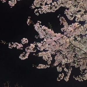 世间的美好与你环环相扣（翻自 柏松）