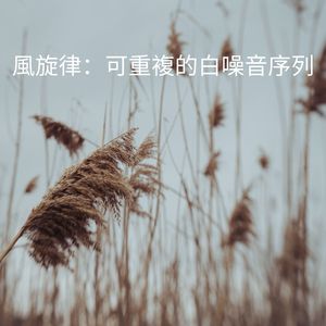 安靜的風：可重複的白噪音序列