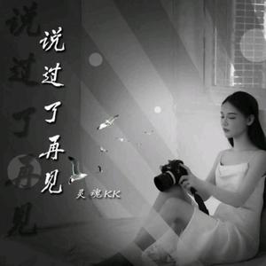 说过了再见（灵魂kk / Nobel remix）