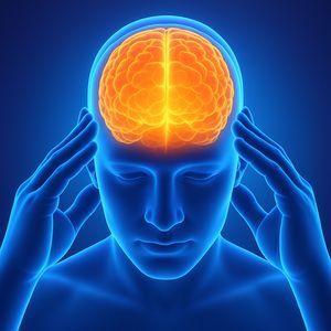 Neuroplasticità Attiva