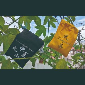 Calling the Qi Jiang Dragon 唤岐江神龙