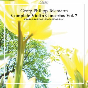 Violin Concerto in G Major, TWV 51:G4: I. Vivace