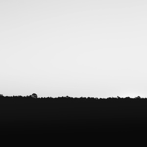 Invisible