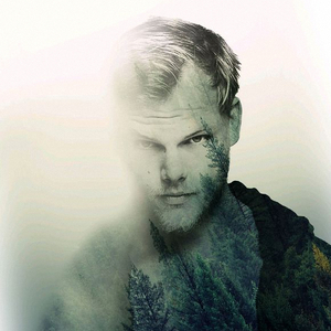 Liar Liar & Speed（翻自 Avicii）