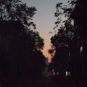 桐乡，桐乡