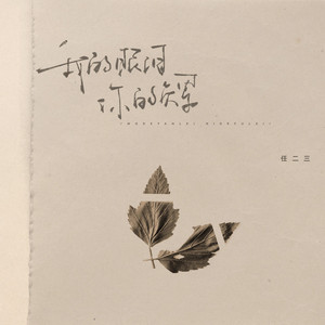 我的眼泪 你的负累