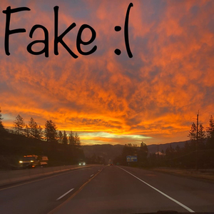 Fake