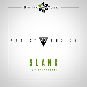Artist Choice 040. Slang (4th Selection) (Continuous DJ Mix)