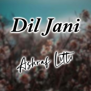 Dil Jani