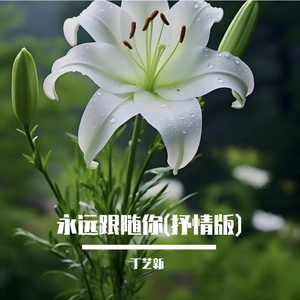 我要跟随你(抒情版)