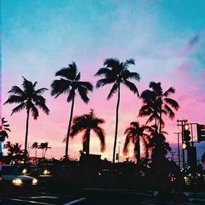 Zj-aIvSoN - 追光者（Remix）（Aniya / 岑宁儿 remix）