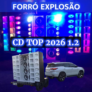 Sanfoninha swingando