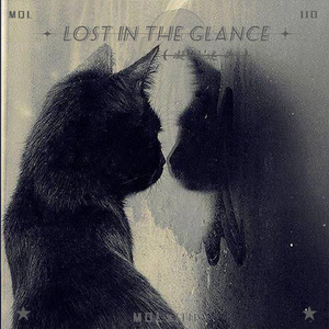 Lost in the Glance (0.8x)
