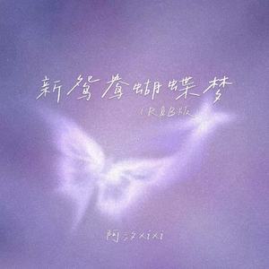 新鸳鸯蝴蝶梦 (R&B版)