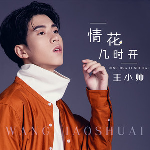 情花几时开 (男版 DJCandy Mix)