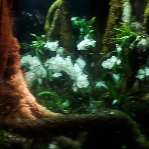 won't you say it? help me make sense of this endlessness