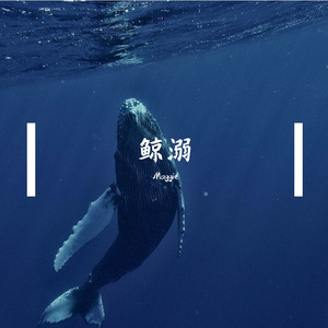 鲸溺