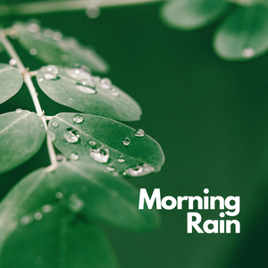 Morning Rain, Pt. 7