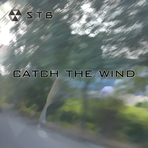 Catch the Wind