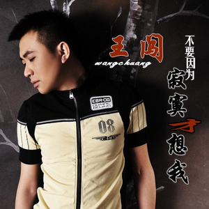 不要因为寂寞才想我 (伴奏)